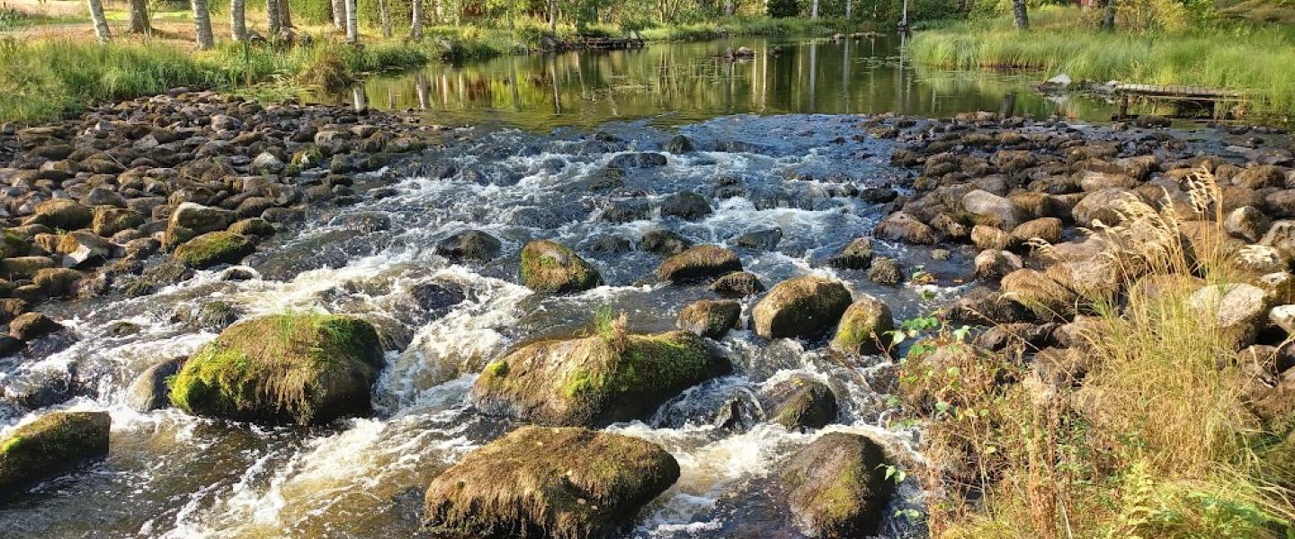 veden virtaus vähenee koskessa