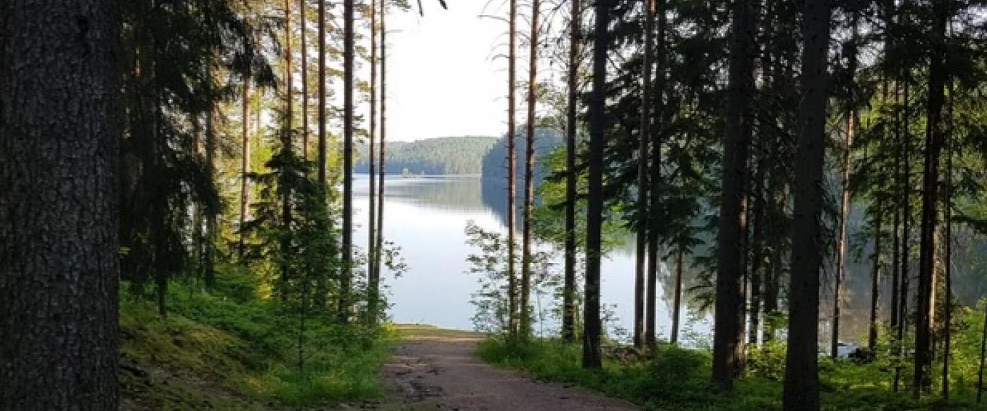 Tervajärvi Repovesi