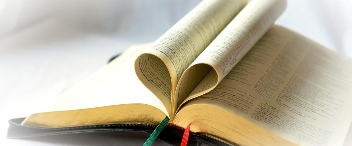 Avoin raamattu, sydän tehty lehdistä