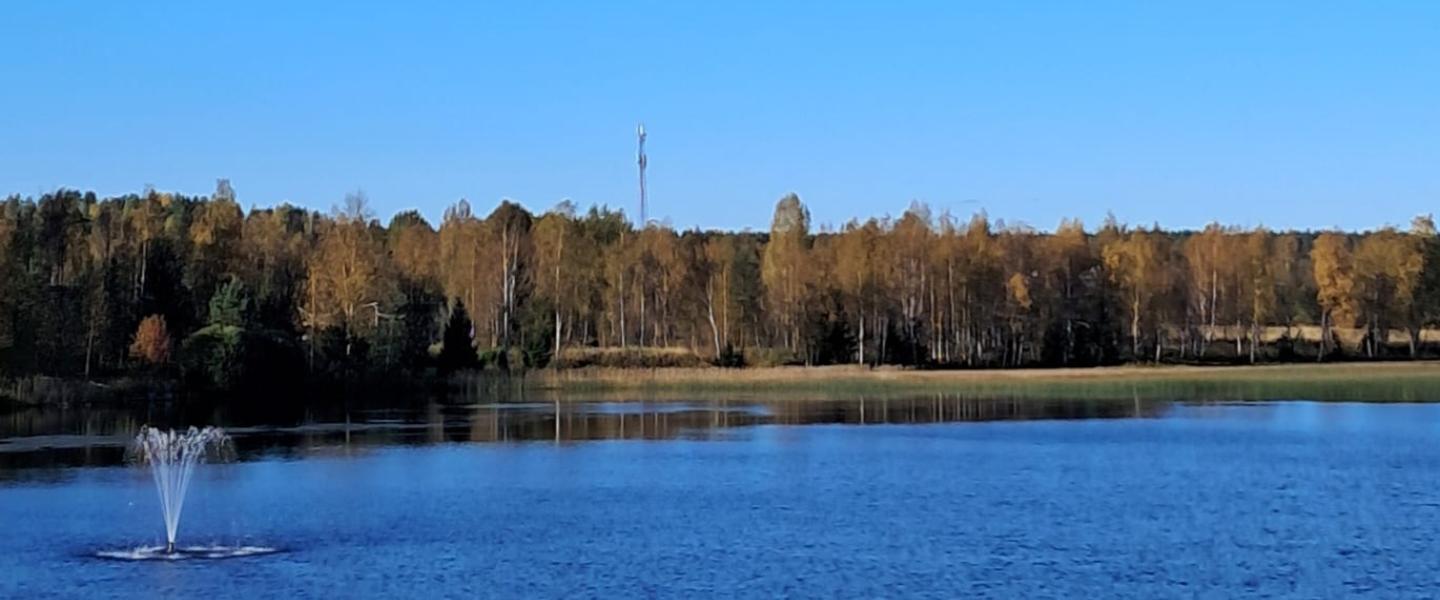suihkulähde