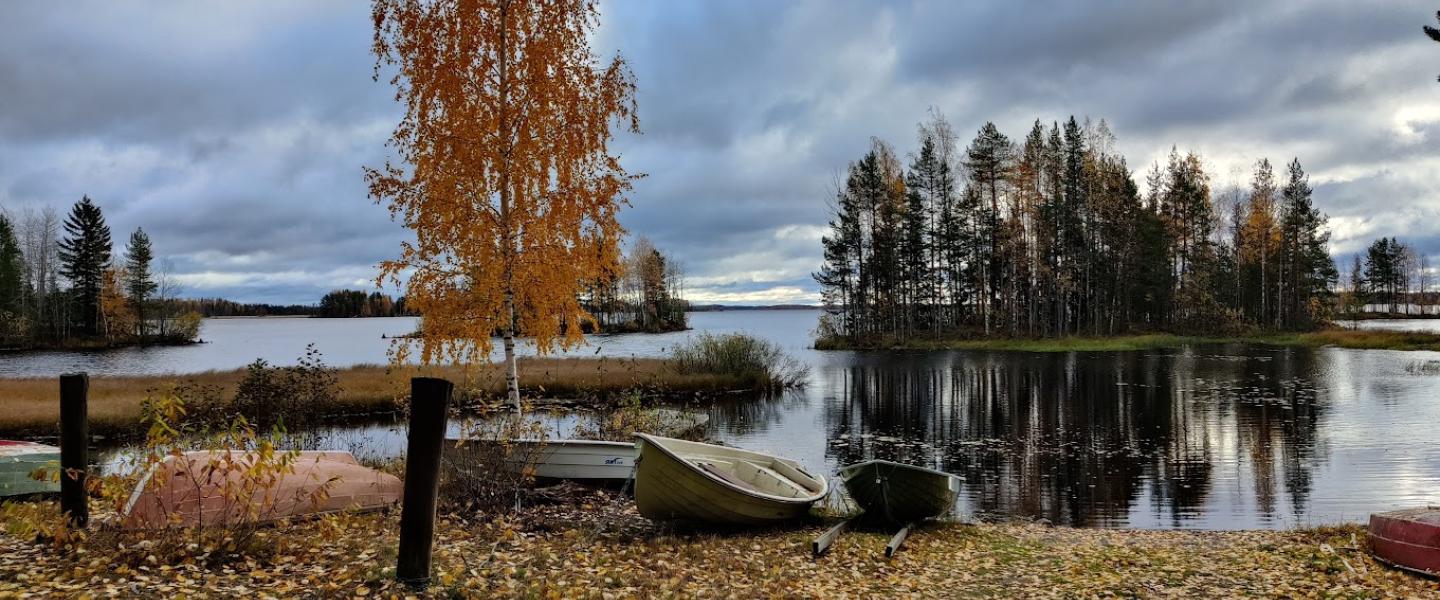 Ruskaa koivussa ja maassa