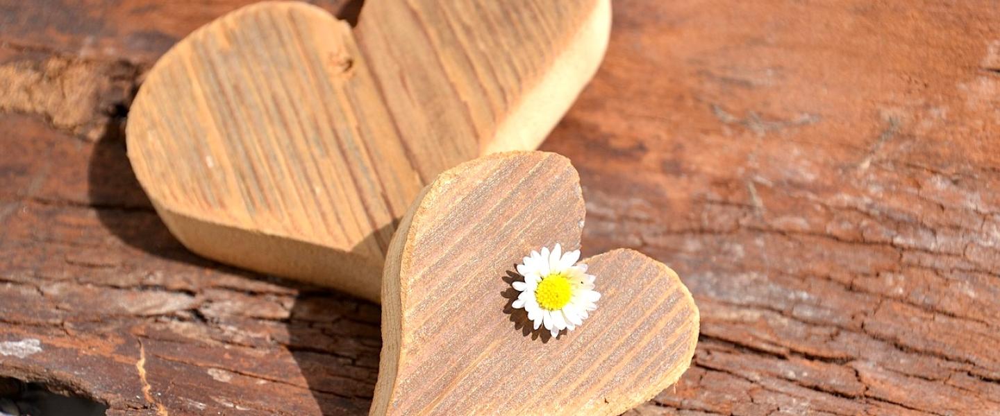 Kaksi puusydäntä, pieni ja isompi