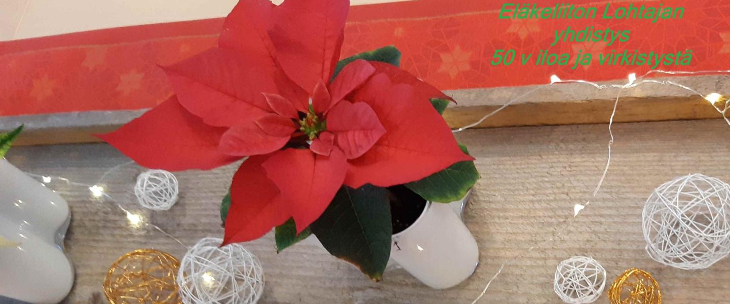Joulujuhla 50 v