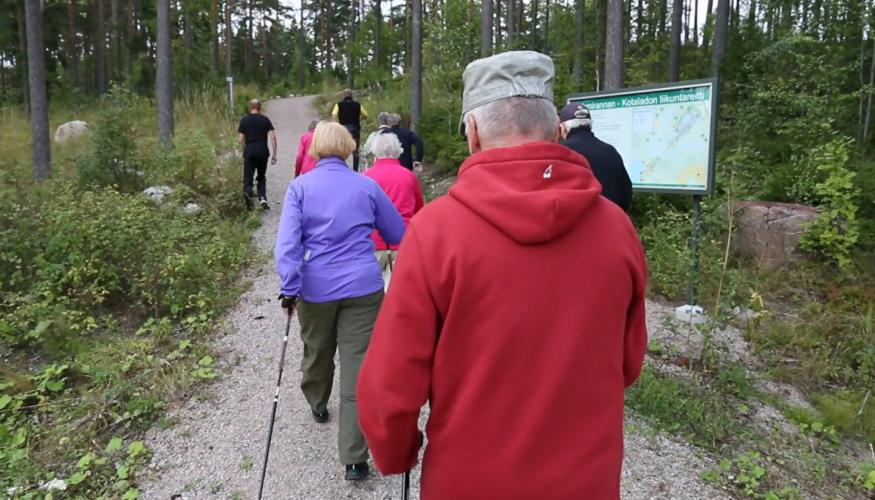 Sauvakävelijäryhmä nousee metsäistä mäkeä ylös