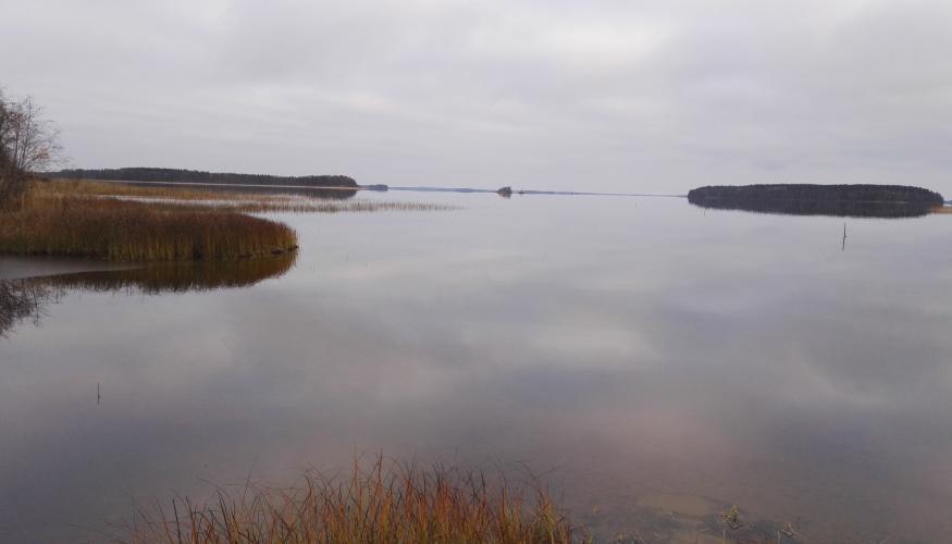 Maisema