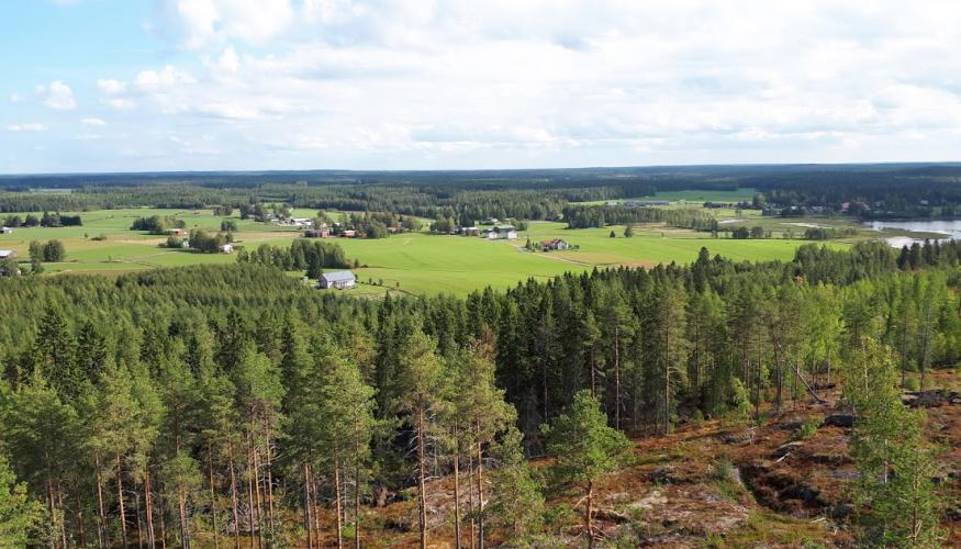 Maisema Paalijärven näkötornista