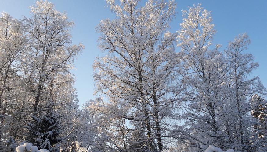 Ensi säteet