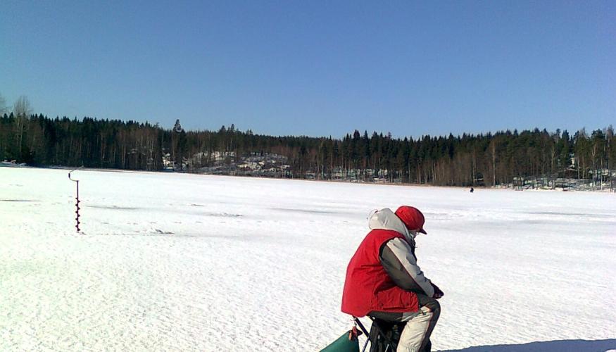 Aurinkoinen pilkkisää