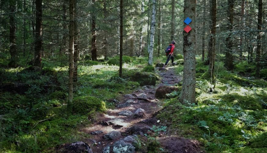 Vaeltaja luonnossa