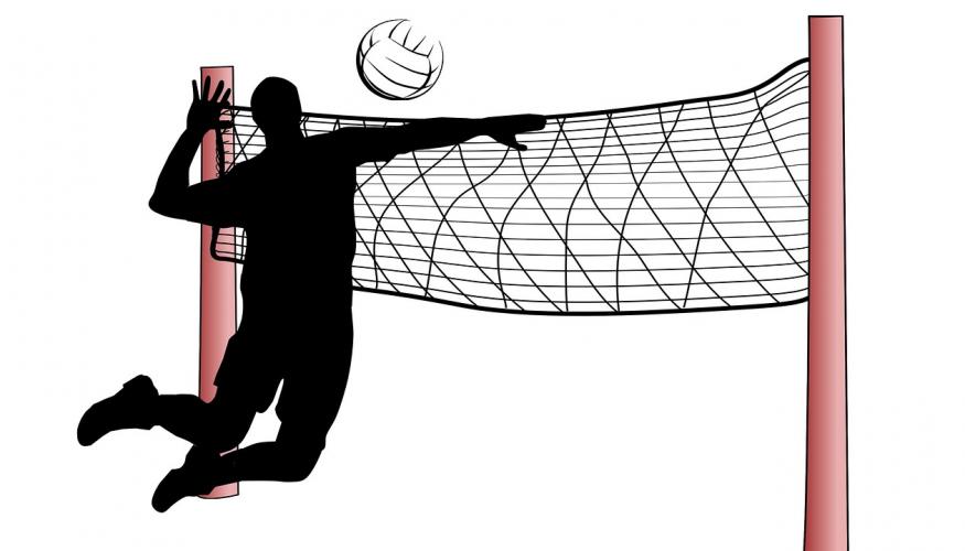 Lentopalloverkko, pallo ja pelaaja