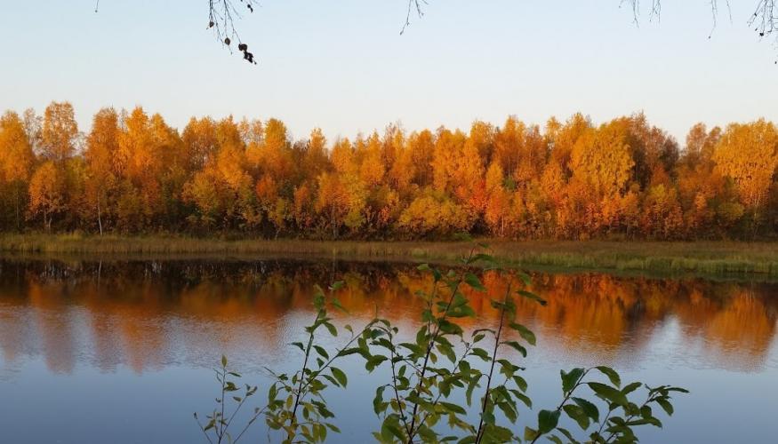 Ruskakuva