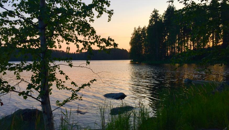 Vesi hiljaa liikkuu.