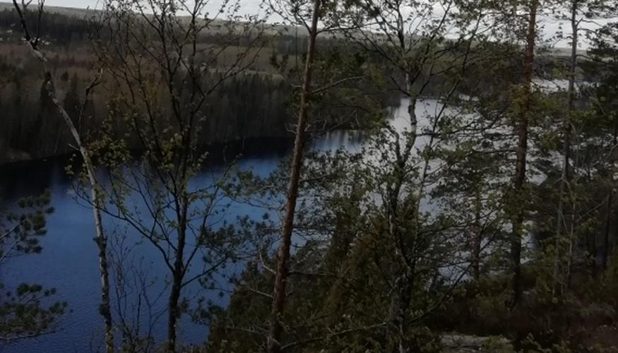 Haukkavuori