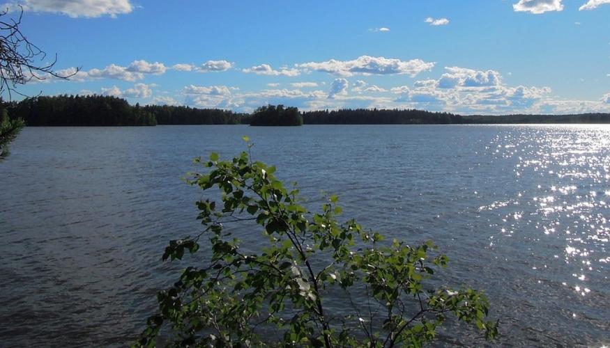 kesäinen maisema