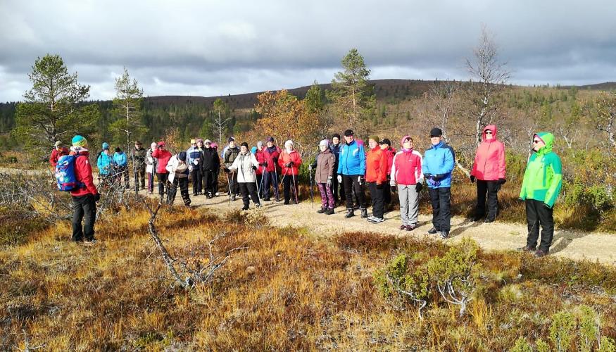 MTLH:n ryhmää