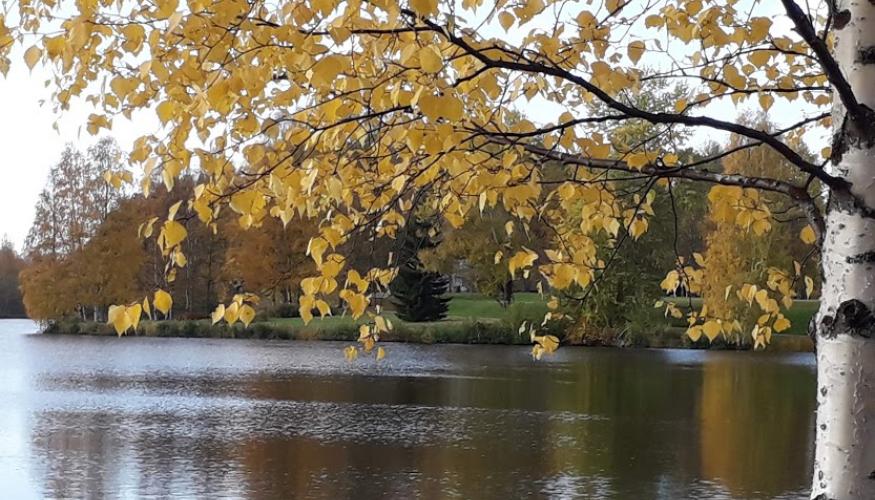 Kajaanin kaupunginlampi ruskakuva