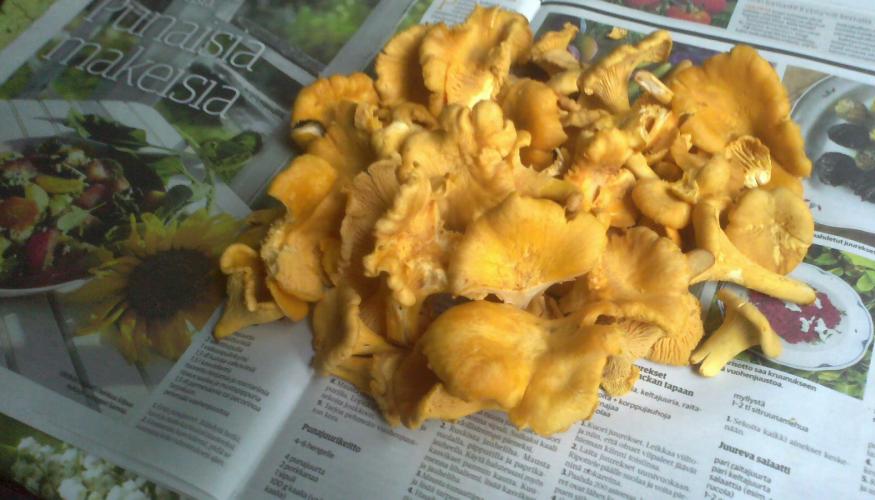 Syksyn satoa
