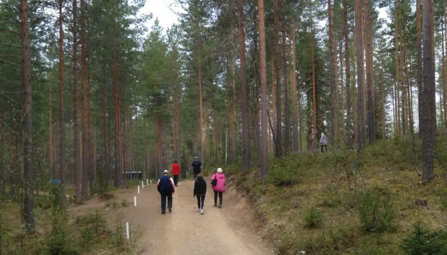 ulkoilijoita metsäpolulla