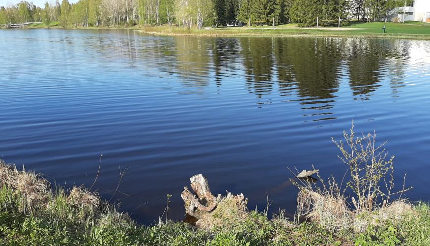 Rantaongintakilpailut Kaupunginlammella