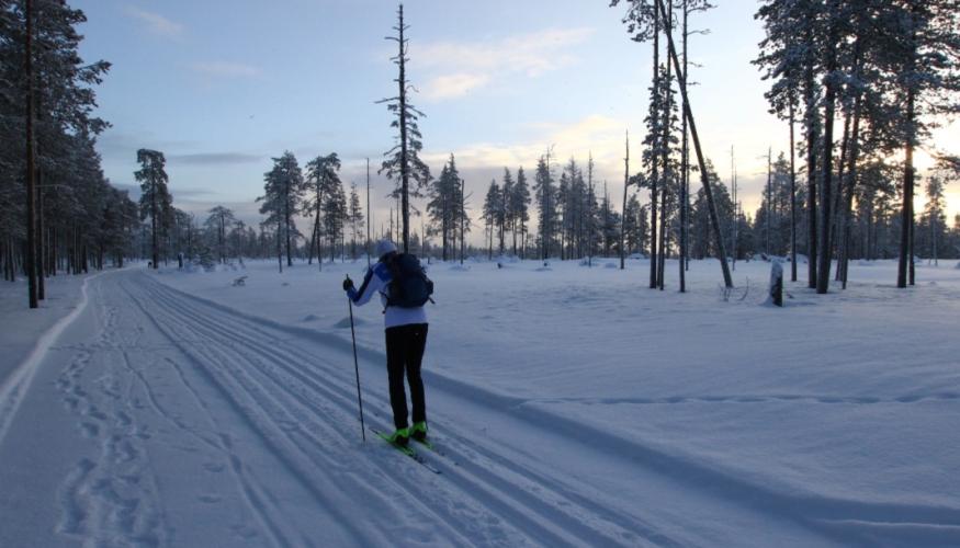 Punkaharju