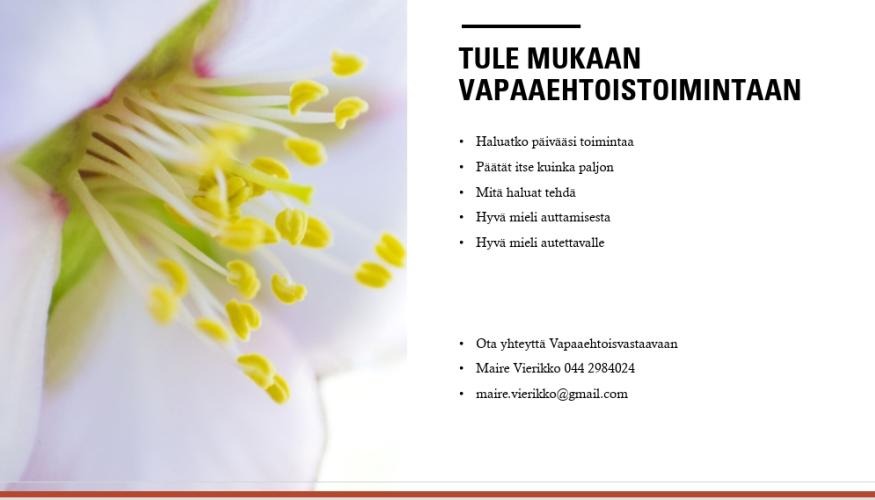 Vapaaehtoiseksi