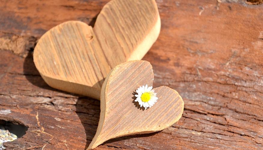 Kaksi puusydäntä, pieni ja isompi