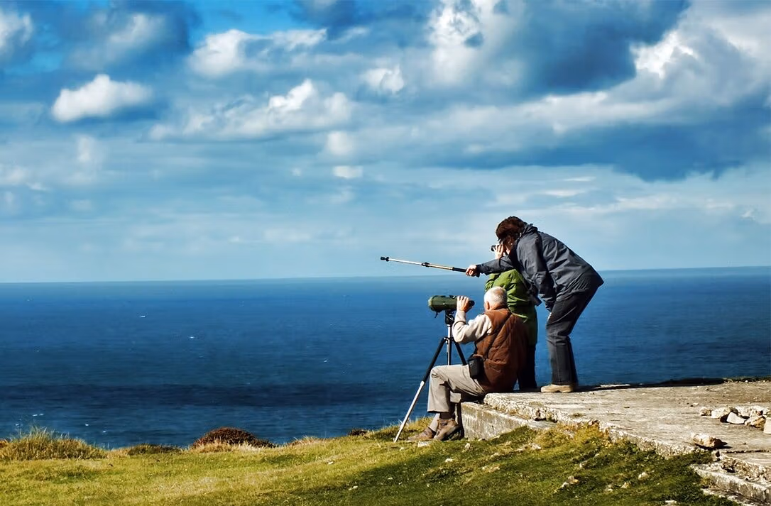 Kolme ihmistä katsoo kiikarein merelle rantapenkereeltä.